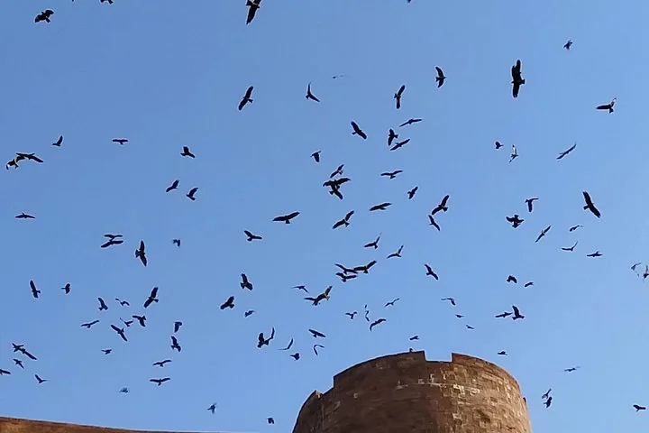 Un grande stormo di uccelli che vola sopra una torre di pietra