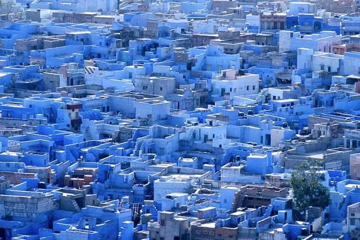 Una veduta aerea delle case azzurre ammassate di Jodhpur